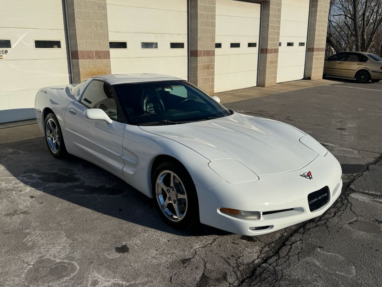 Ceramic coating finish by Rayco Motor Sports