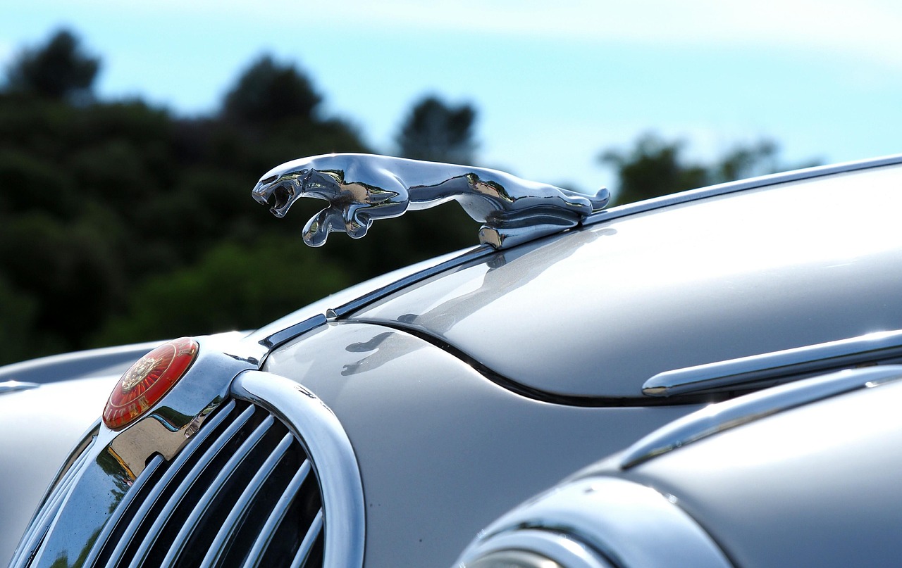 Jaguar service at Rayco Motor Sports near Wilkes-Barre Pennsylvania