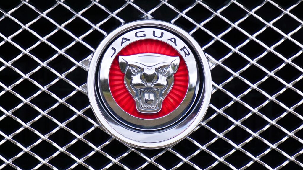 Jaguar Growler - Jaguar Service and Repair in Wilkes-Barre, 18702 - Rayco Motor Sports