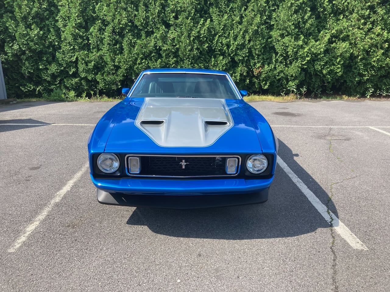 Classic and collectible vehicle service near 18702 at Rayco Motor Sports