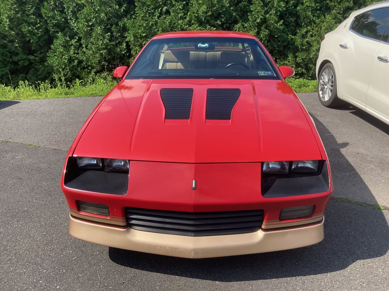Classic truck and collectible car service at Rayco Motor Sports near Wilkes-Barre Pennsylvania